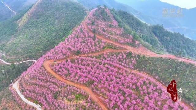 2026湘BA揭幕战长沙队大胜怀化队 杰曼三分绝杀广