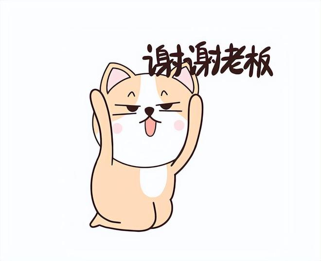 2004年NBA总决赛：活塞爆冷逆转湖人，终结历史统